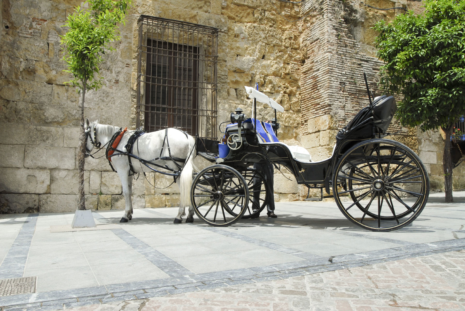 Cordoba